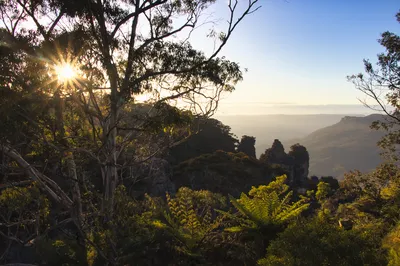 Sunburst through silhouetted trees overlooking the Three Sisters rock formations in a hazy, forested valley under a clear sky.