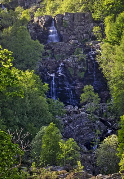 A multi-tiered waterfall flows down a dark rocky cliff face surrounded by lush green trees and foliage under natural light.