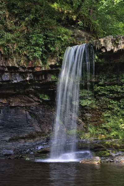 A long exposure photograph of a waterfall cascading over a rocky, moss-covered cliff into a dark pool of water, surrounded by lush green foliage.