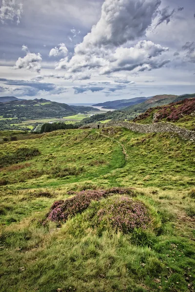 A person walks on a winding dirt path next to a stone wall on a green grassy hillside, with purple heather in the foreground and a wide valley leading to an estuary and mountains under a cloudy sky in