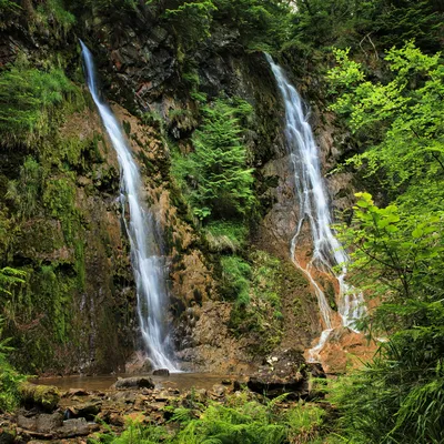 Two waterfalls flow down a mossy, rocky cliff face surrounded by green trees and ferns, collecting in a pool at the bottom.