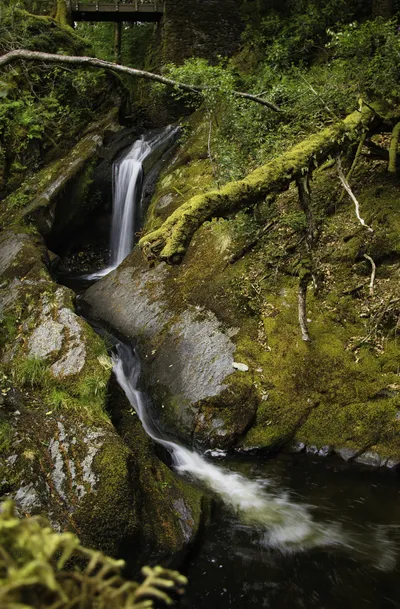 A long exposure photograph of a waterfall cascading over moss-covered rocks and flowing into a stream in a lush green forest, with a bridge visible in the background.
