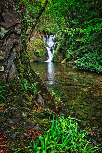 A multi-tiered waterfall flows into a clear stream through a lush green forest with moss-covered rocks and ferns.