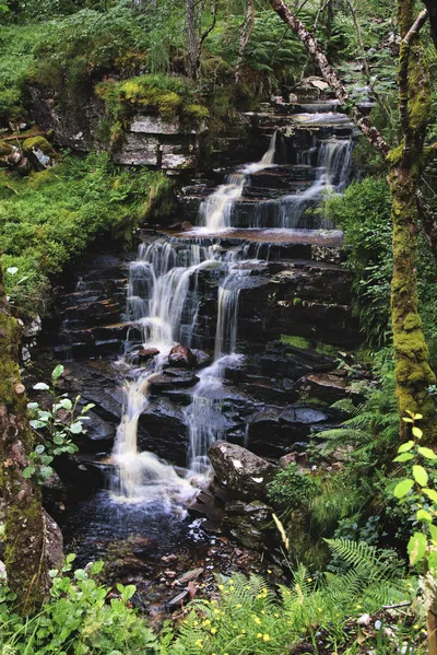 Long exposure photograph of a multi-tiered waterfall cascading over dark rocks surrounded by green moss and dense forest vegetation.