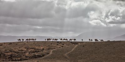 Photographs from Salalah, Oman