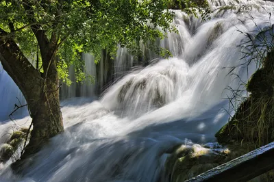 A long exposure photograph of a multi-tiered waterfall with silky white water flowing over rocks. A tree with green leaves stands on the left, partially submerged, and mossy banks with tall grass are 