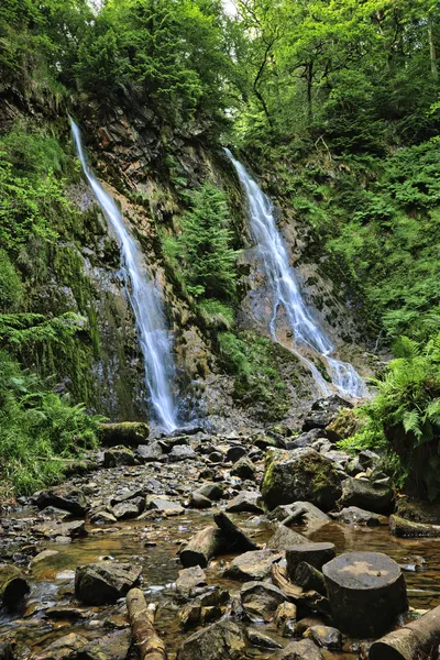 Two waterfalls flow down a rocky cliff covered in moss and green plants, with a stream flowing over rocks in the foreground.