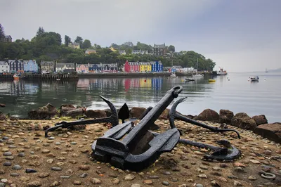 A view of Tobermory harbour on the Isle of Mull, Scotland, with colourful buildings reflected in the water and several large black anchors on a pebble shore in the foreground.