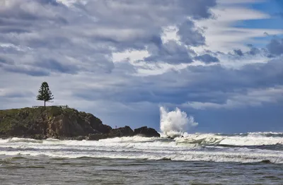 Ocean waves breaking against dark rocks on a cloudy day, with a single pine tree on a grassy cliff overlooking the scene.
