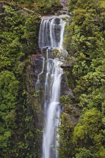 Twin Falls, a multi-tiered waterfall, cascades down a dark, mossy rock face, framed by lush green trees and ferns. Long exposure creates a silky water effect, highlighting the natural beauty.
