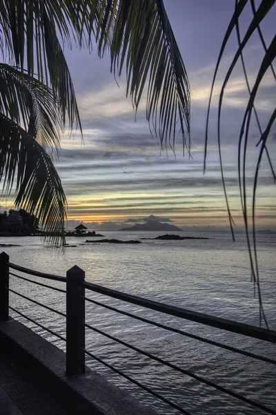 A sunset view over the ocean with palm fronds framing the top, a metal railing in the foreground, and a distant island under a cloudy sky.