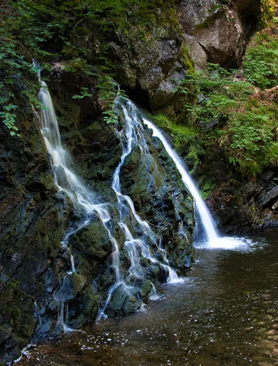 Multiple waterfalls flow over mossy, dark rocks into a dark pool surrounded by lush green foliage and trees.