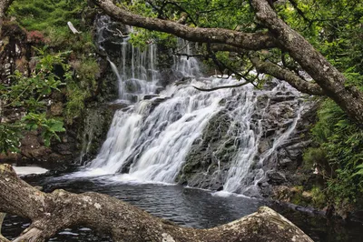 A multi-tiered waterfall flows over dark, mossy rocks into a pool, framed by green trees and foliage in a natural landscape.