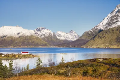 A white church with a red roof on a small island in a calm blue fjord, surrounded by towering snow-capped mountains under a clear sky. Foreground features reddish-brown vegetation.