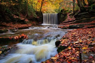 Long exposure photograph of a waterfall flowing into a river in an autumn forest. The ground and riverbanks are covered in fallen red and orange leaves, and trees display vibrant fall foliage.