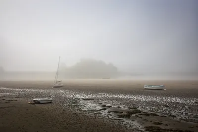 Several boats are beached on a muddy tidal flat during low tide, with thick fog obscuring the background landscape.