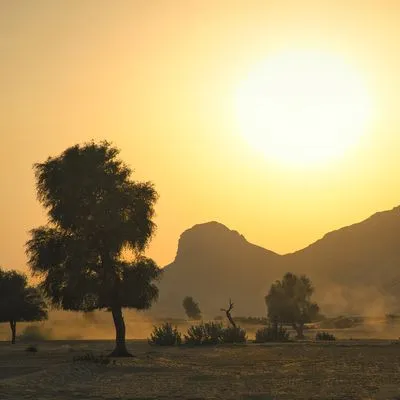 A desert scene at sunset with a large, bright sun in the upper right. Silhouetted trees and mountains are visible against a golden, hazy sky. Sand and sparse vegetation cover the foreground.