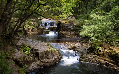 A series of small waterfalls and cascades flow over mossy rocks in a dense green forest, with dappled sunlight filtering through the trees.