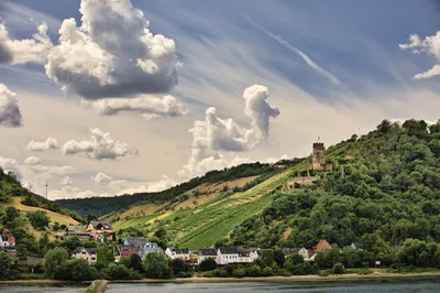 A historic castle ruin stands on a forested hill overlooking a river and a small village with vineyards under a partly cloudy sky.