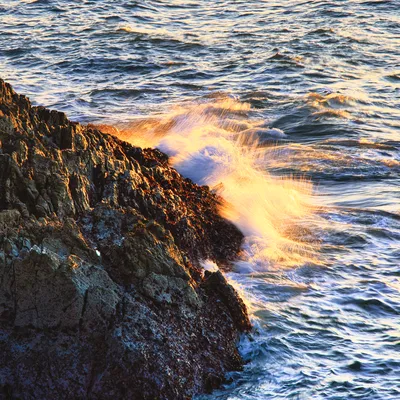 Waves crashing against dark, rugged rocks with golden light illuminating the water spray.