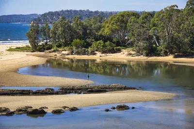 A lone fisherman stands in a calm estuary with sandy banks, flowing into the ocean, surrounded by dense green trees under a blue sky.