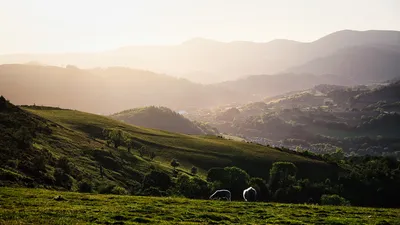A landscape photograph of rolling green hills and valleys under a hazy golden sky. Two sheep graze in the grassy foreground, with a village visible in the distant valley.