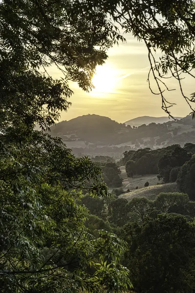 A sunset over a valley with hills and trees, featuring the silhouette of Dinas Bran Castle on a prominent hill, framed by dark tree branches.