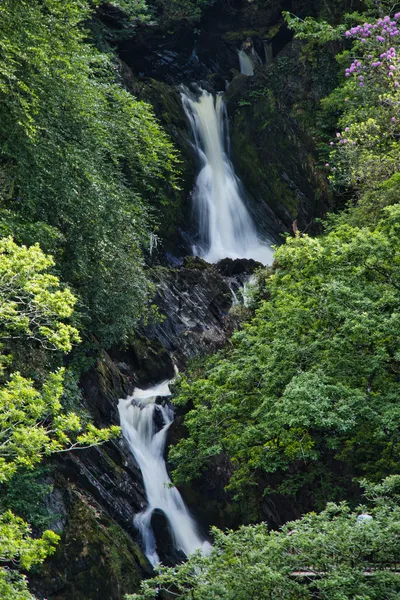 A multi-tiered waterfall cascades down a rocky, moss-covered gorge surrounded by lush green trees and purple flowers.