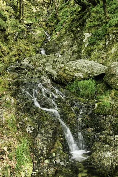 A long exposure photograph of a stream cascading over moss-covered rocks and through a woodland gully.