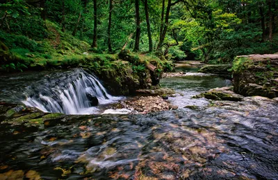 A long exposure photograph of a waterfall flowing over moss-covered rocks in a dense green forest with a river in the foreground.