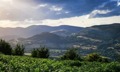 A panoramic view of a lush green valley with rolling hills and distant mountains under a dramatic cloudy sky, with ferns in the foreground.