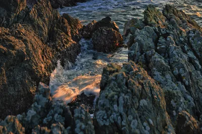 Waves crashing against dark, rugged coastal rocks at sunset, with golden light reflecting on the water.
