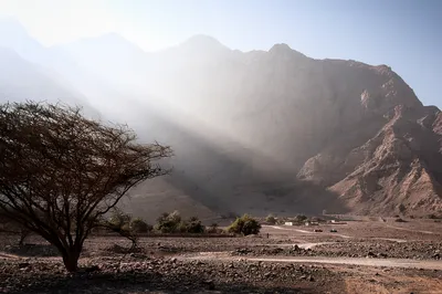 A wide shot of a desert valley with large, hazy mountains in the background. Sunbeams cut through the mist. A gnarled, leafless tree is in the foreground, with a dirt road and small village buildings 