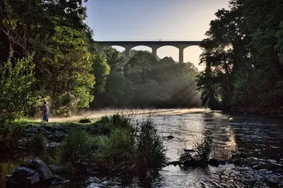 A person stands on a wooded riverbank beside the misty River Dee, below Pontcysyllte Aqueduct as sunlight streams through the trees.