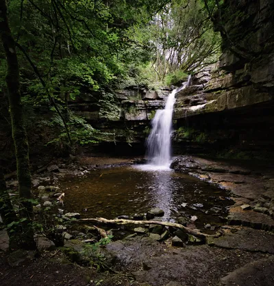 A long exposure photograph of a waterfall flowing into a dark pool, surrounded by mossy rocks and dense green trees in a shaded forest setting.