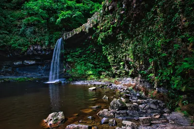 A tall, narrow waterfall flows into a dark pool, surrounded by moss-covered rocks and dense green forest foliage.