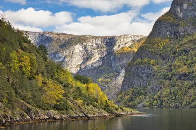 A wide shot of a Norwegian fjord with dark, calm water. Steep, rocky cliffs covered in green and yellow autumn trees rise on both sides, meeting a dramatic, cloudy sky above.