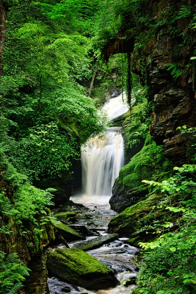 A long exposure photograph of a multi-tiered waterfall flowing into a rocky stream in a deep, verdant gorge, surrounded by dense green trees and moss-covered rocks.