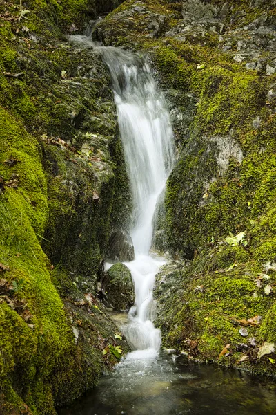 A long exposure photograph of a waterfall flowing over dark, moss-covered rocks into a small pool, surrounded by vibrant green foliage.