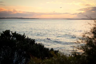 View of the ocean at sunrise with two people on surfboards, distant land, and an airplane in the sky, framed by dark foreground foliage.