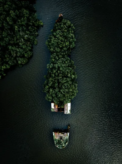 Aerial view of a shipwreck covered in dense green trees, partially submerged in dark water, with another smaller section nearby.