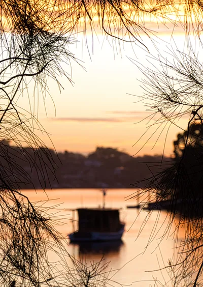 A boat on a calm river at runrise, framed by dark, silhouetted tree branches with an orange sky.