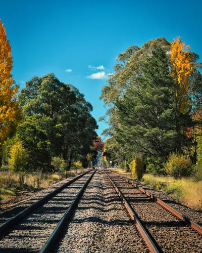 View down two sets of railway tracks surrounded by trees with green and autumn yellow foliage under a clear blue sky.